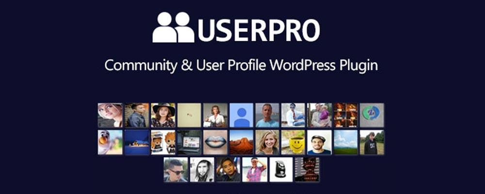 افزونه UserPro یکی از بهترین افزونه‌های ساخت پنل کاربری در وردپرس